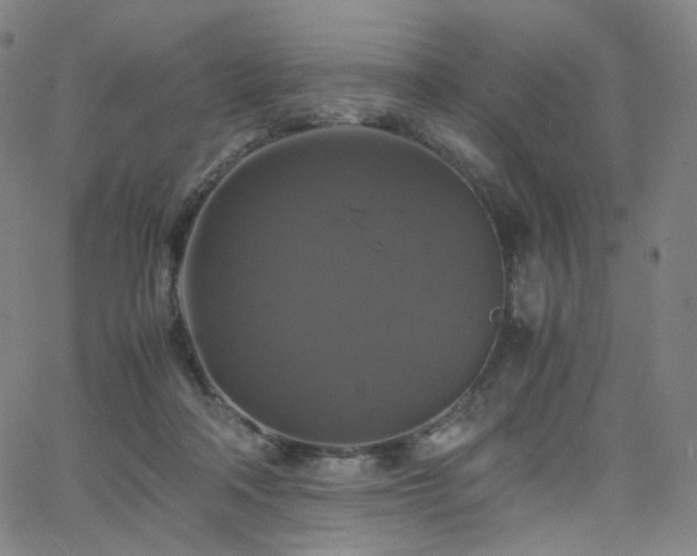 X0000063460314200601201252