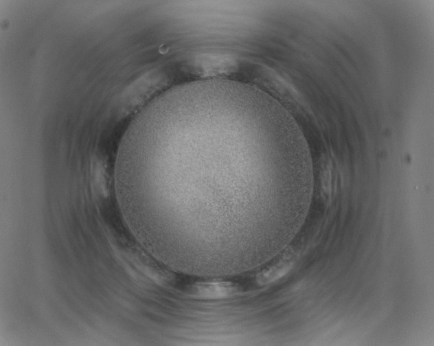 X0000063460316200601201252