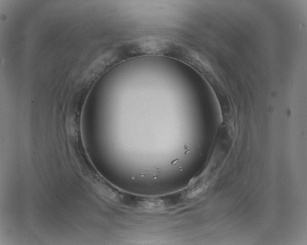 X0000063460317200601201252