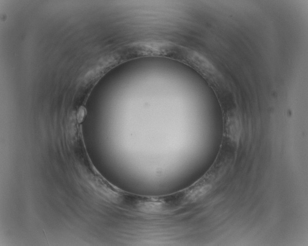 X0000063460318200601201252