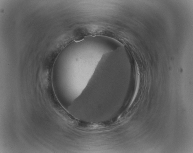 X0000063460319200601201252