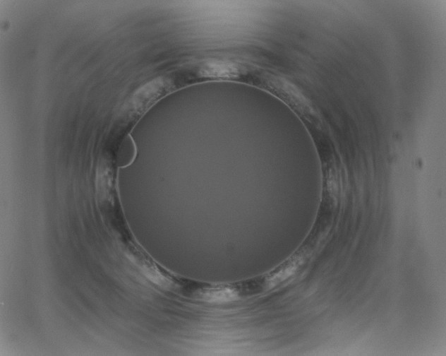 X0000063460322200601201252