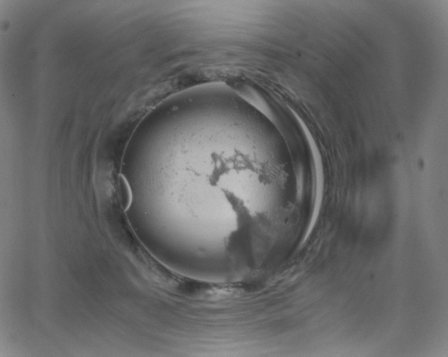 X0000063460323200601201252