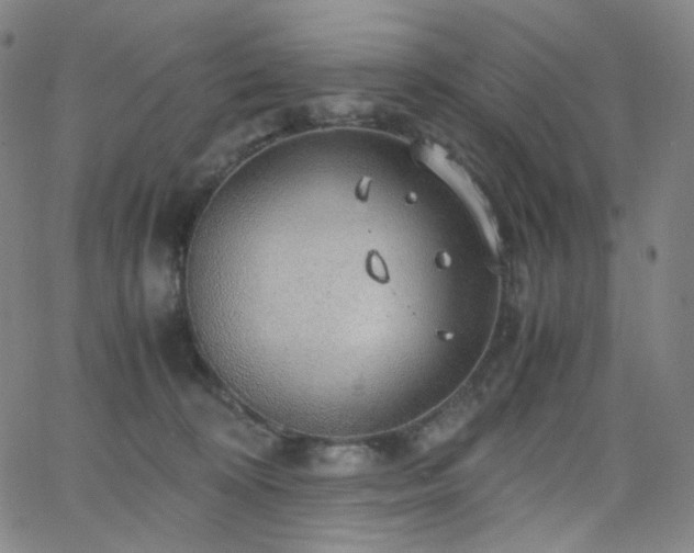 X0000063460324200601201252