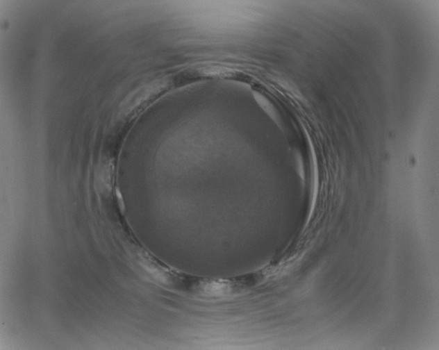 X0000063460325200601201252