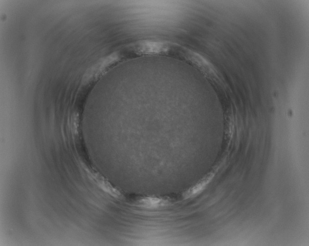 X0000063460326200601201252