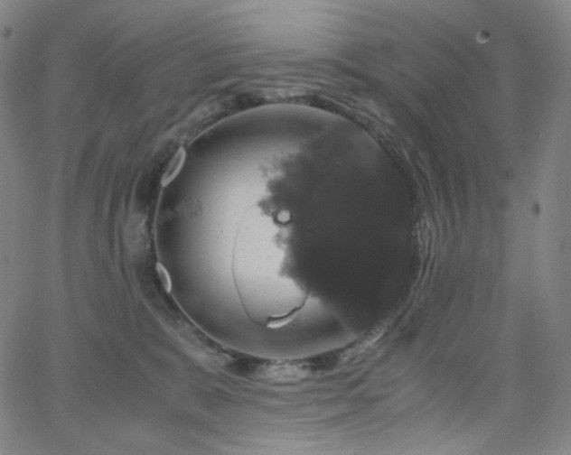 X0000063460327200601201252