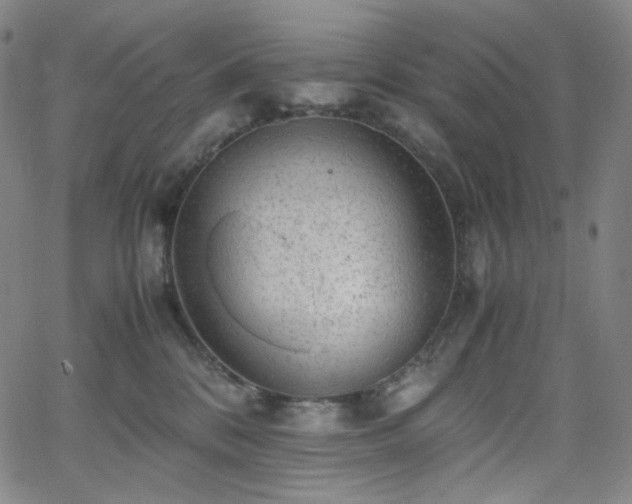 X0000063460328200601201252