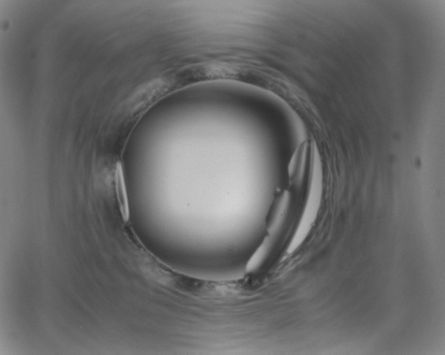 X0000063460329200601201252