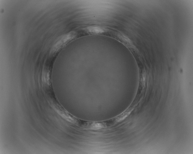 X0000063460330200601201252