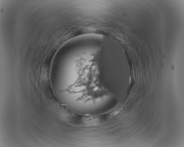 X0000063460331200601201252