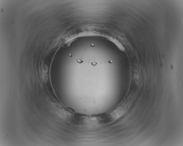 X0000063460332200601201252