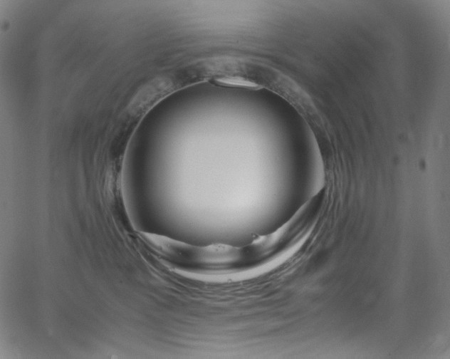 X0000063460333200601201252