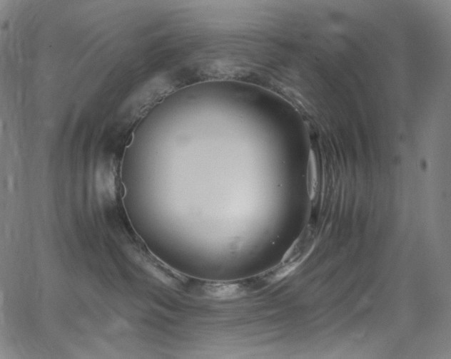 X0000063460334200601201252