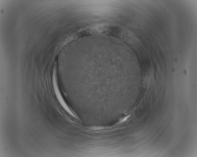 X0000063460335200601201252