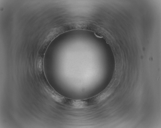 X0000063460336200601201252