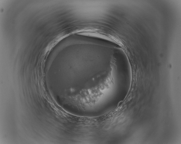 X0000063460337200601201251