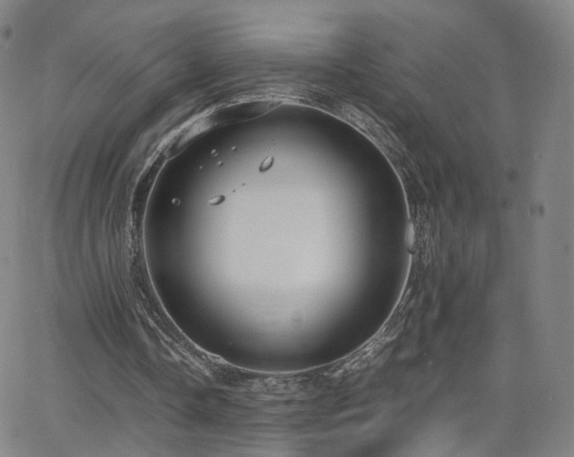 X0000063460338200601201251