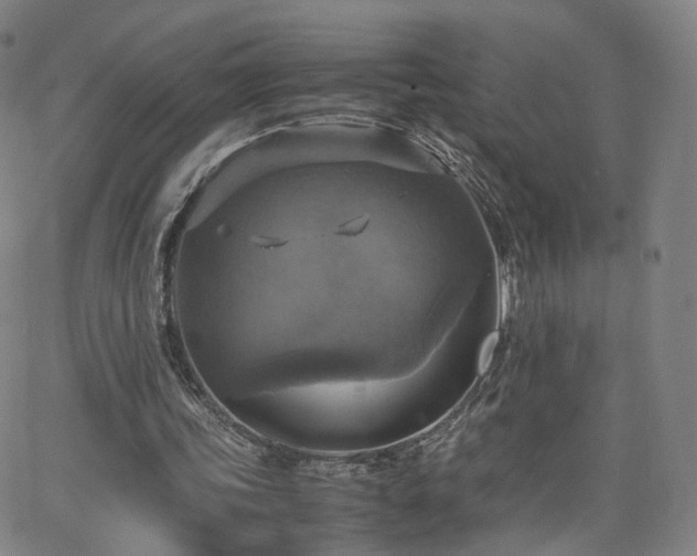 X0000063460339200601201251