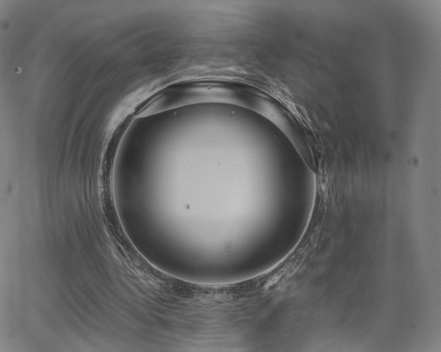 X0000063460340200601201251