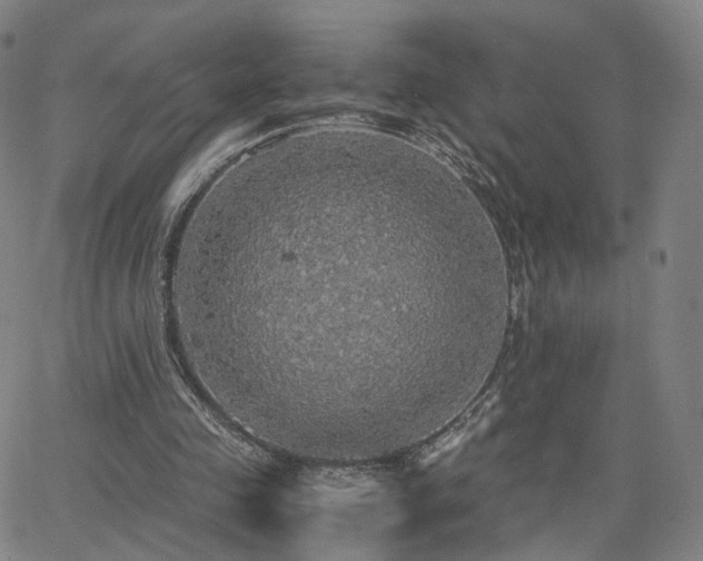 X0000063460341200601201251