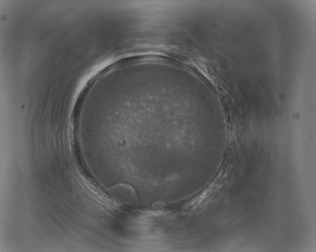 X0000063460342200601201251