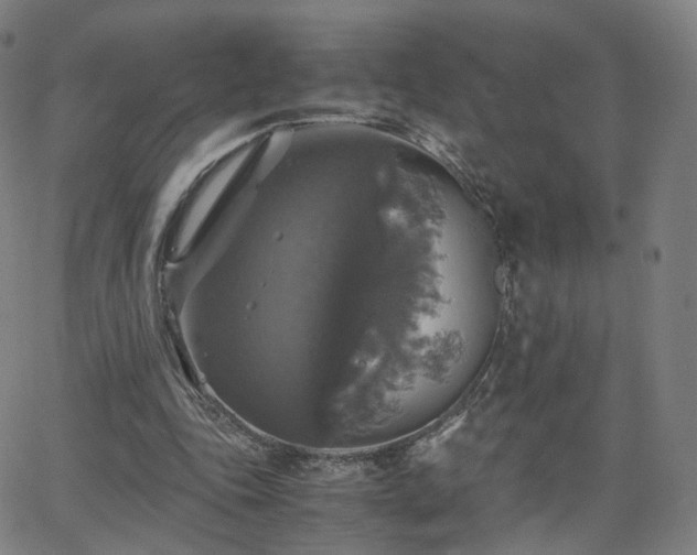 X0000063460343200601201251