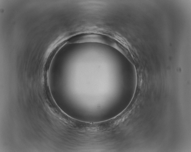 X0000063460344200601201251