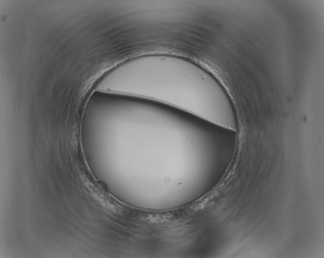 X0000063460345200601201251