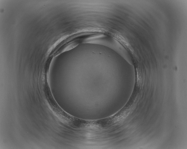 X0000063460348200601201251