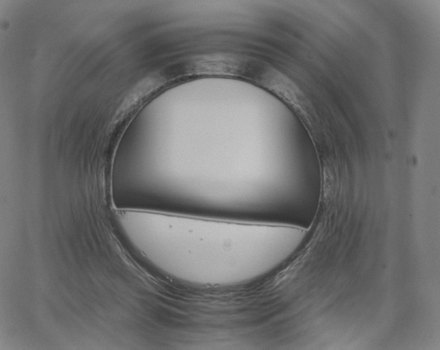 X0000063460349200601201251