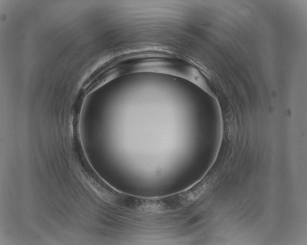 X0000063460350200601201251