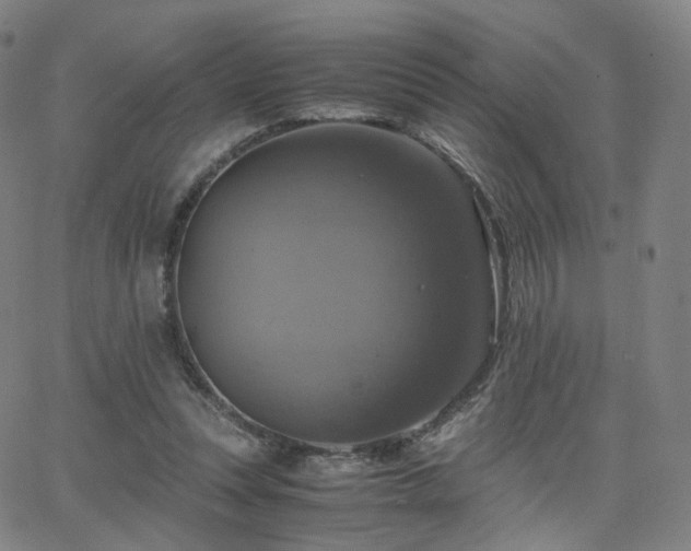 X0000063460351200601201251