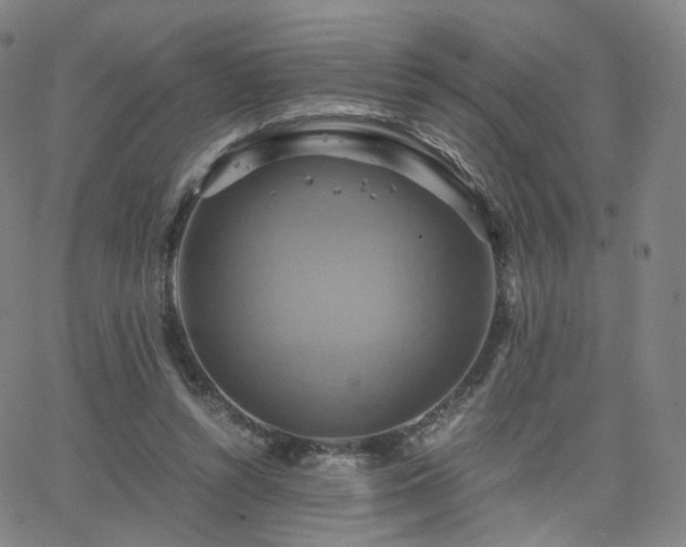 X0000063460352200601201251