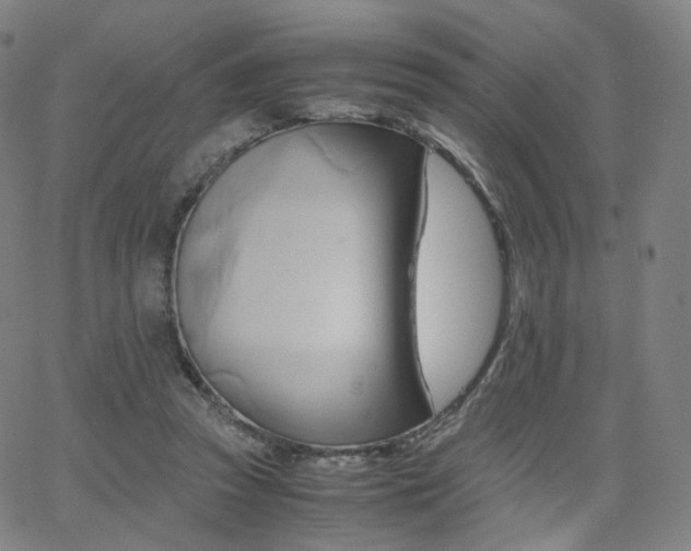 X0000063460353200601201251