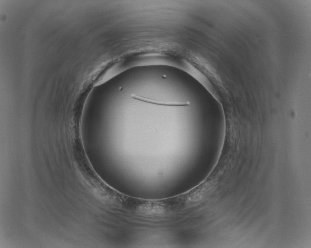 X0000063460354200601201251