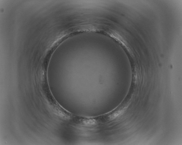 X0000063460355200601201251