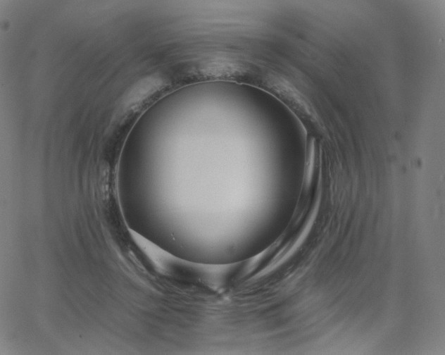 X0000063460356200601201251