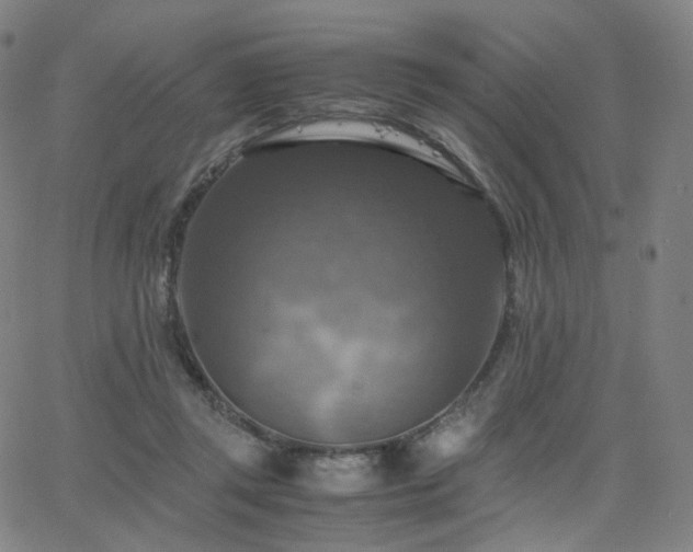 X0000063460357200601201252