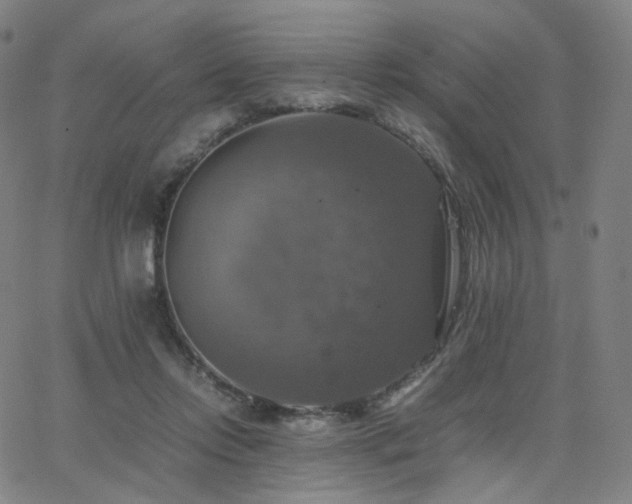 X0000063460358200601201252