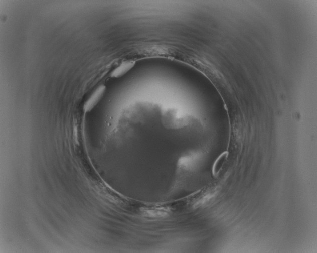 X0000063460359200601201252