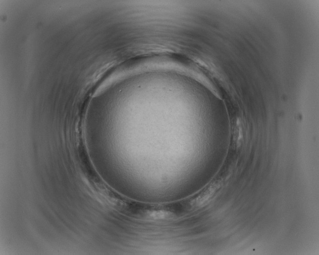 X0000063460360200601201252