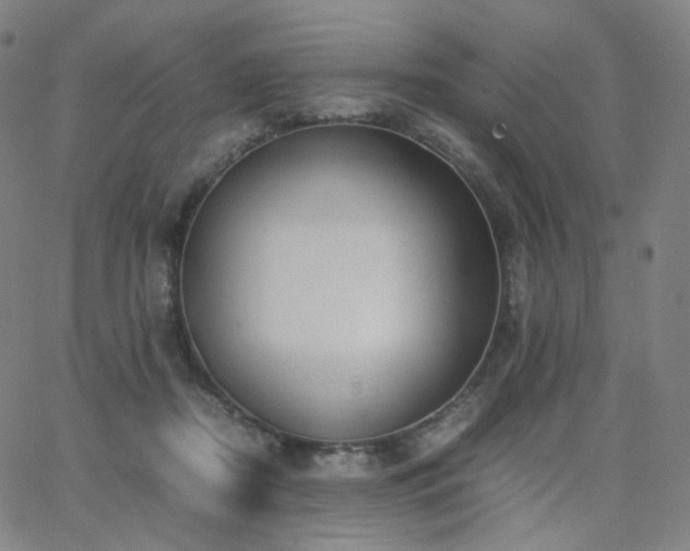 X0000063460362200601201252