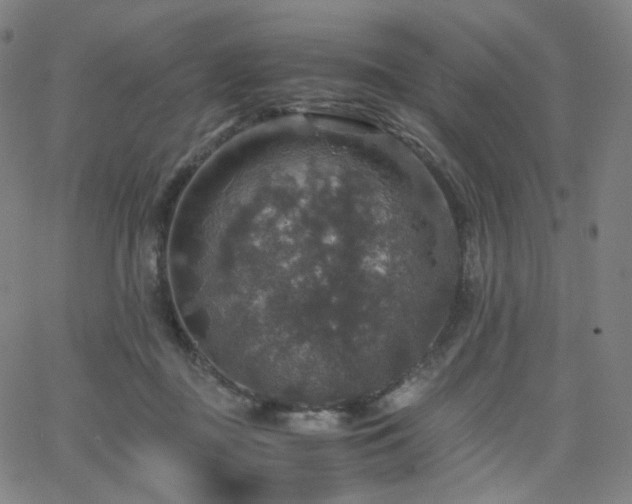 X0000063460363200601201252