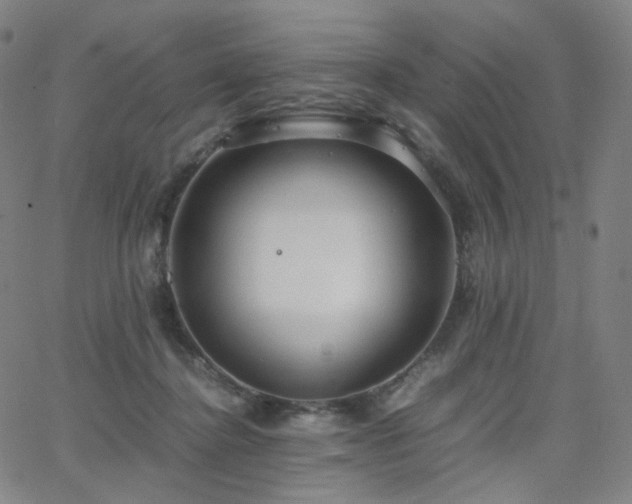 X0000063460364200601201252