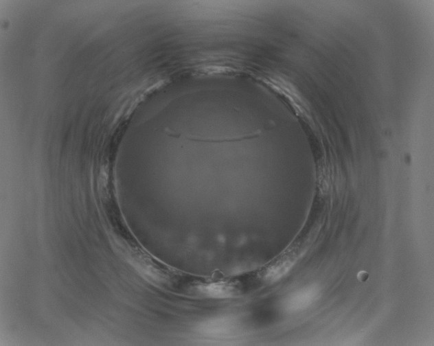 X0000063460365200601201252