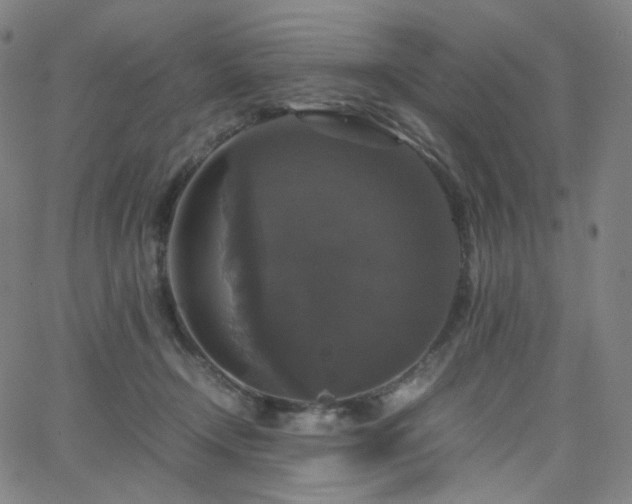 X0000063460366200601201252