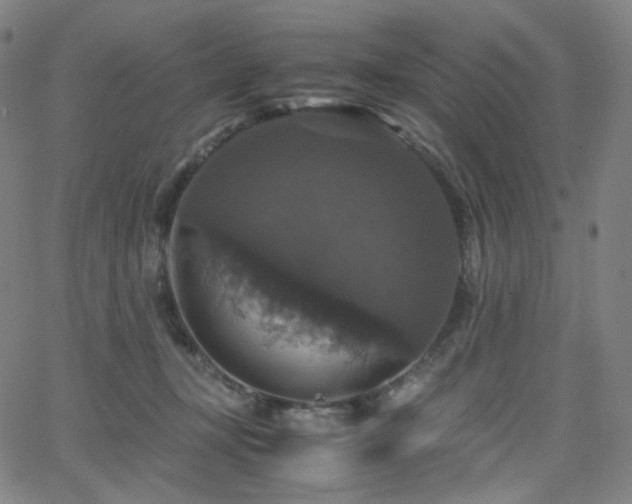 X0000063460367200601201252