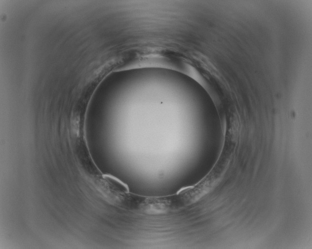 X0000063460368200601201252