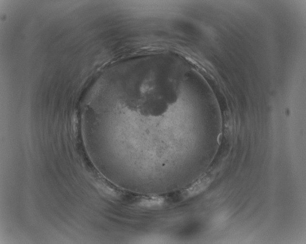 X0000063460369200601201252